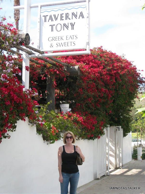 Taverna Tony