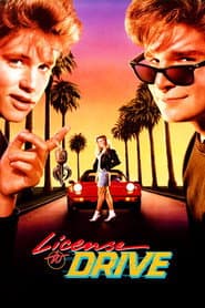 License to Drive
