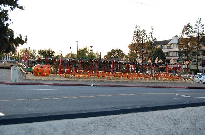 Rayβs Pumpkins