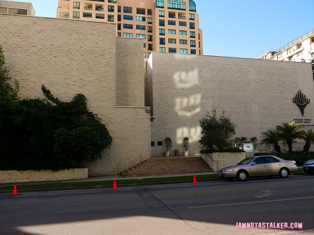 The “License to Drive” Hospital