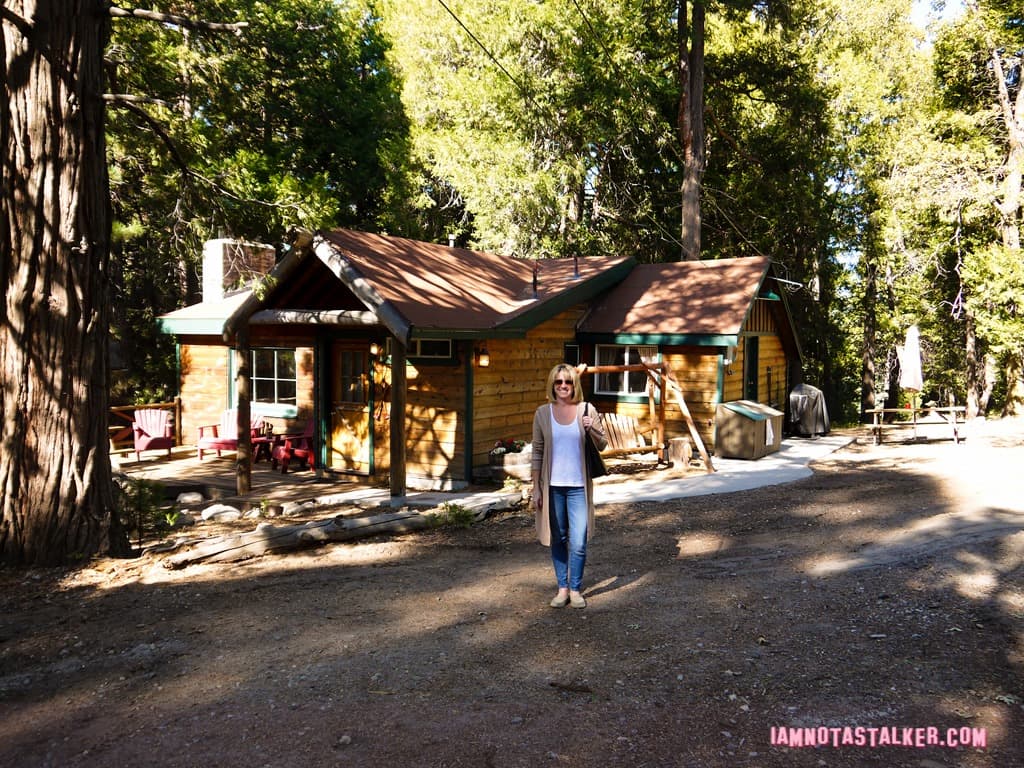 Arrowhead Pine Rose Cabins from “Veep”