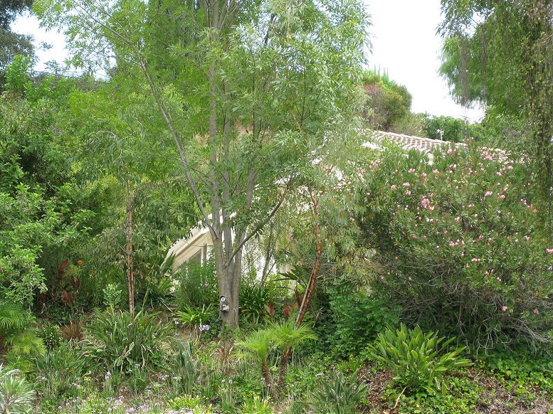 The Other Corey’s House from “The Two Coreys”