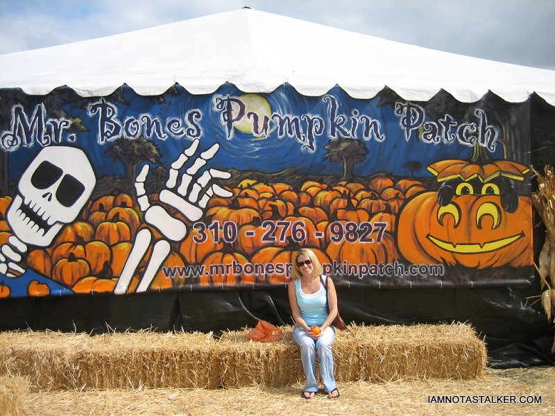 Mr. Bones Pumpkin Patch