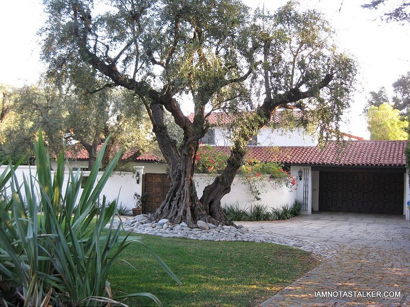 90210’s Baby Mama’s House