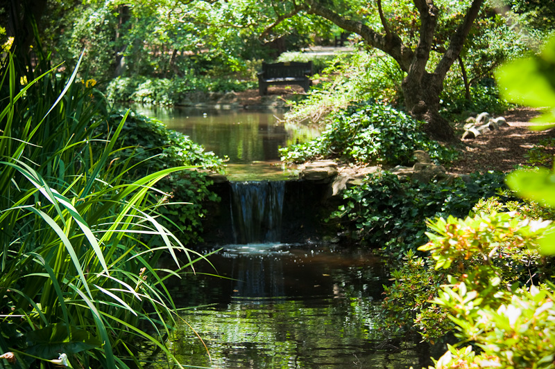 descanso-gardens-1241