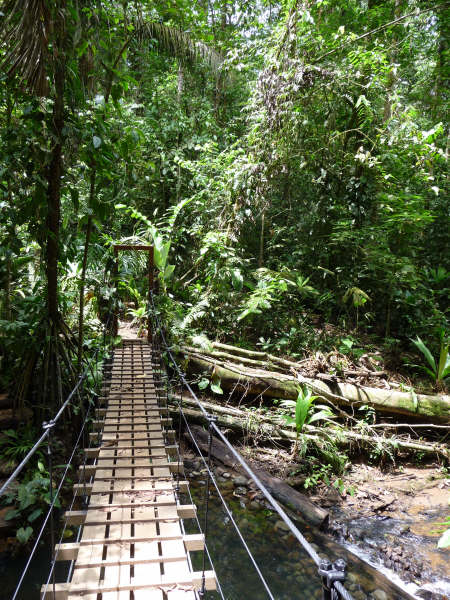 bridge
