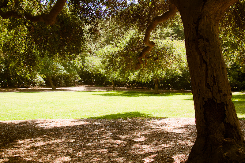descanso-gardens-1312