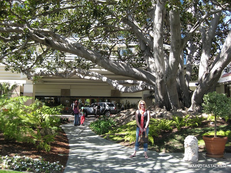 The Fairmont Miramar Santa Monica