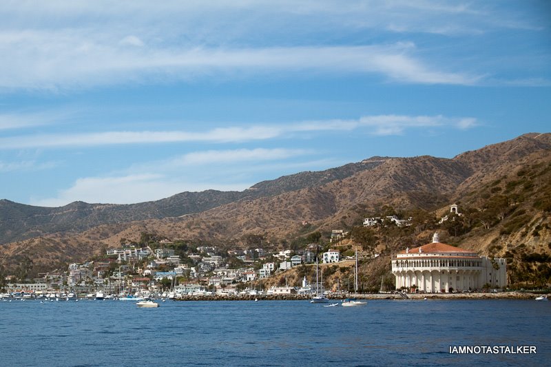 Catalina’s Hamilton Cove