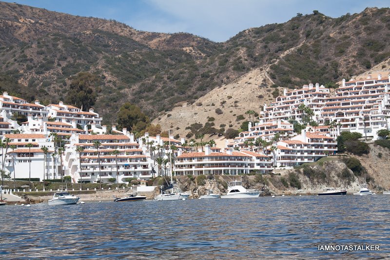 Hamilton-Cove-Santa-Catalina-Island-9