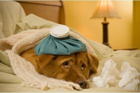 Another Long Day in the Hospital