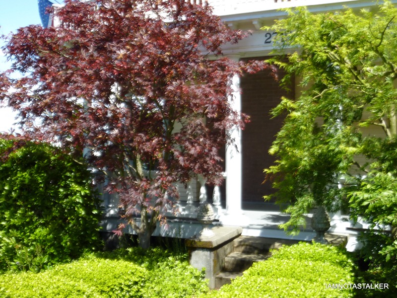 P1000731