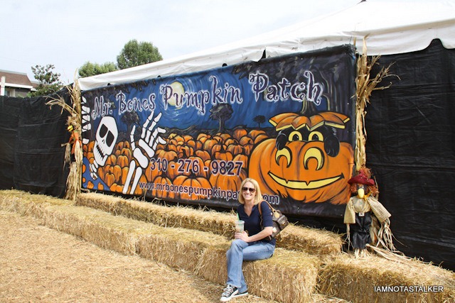 Mr. Bones Pumpkin Patch . . . A Second Time