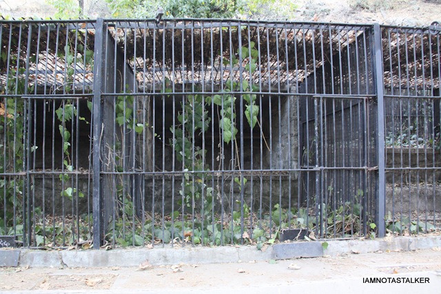 Griffith-Park-Old-Zoo-30