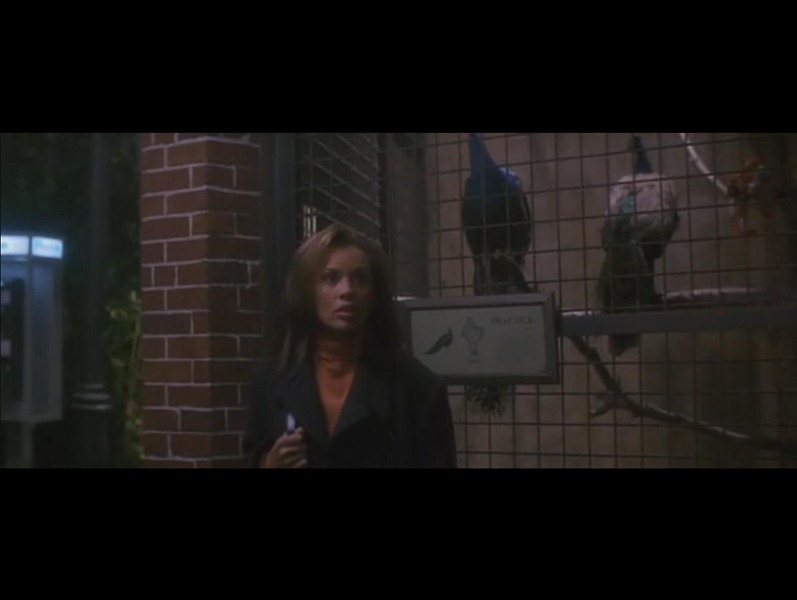ScreenShot5866