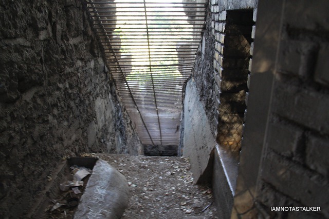 Griffith-Park-Old-Zoo-15