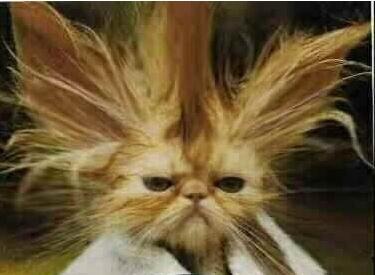 Bad Day!