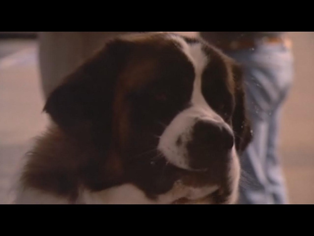 ScreenCap1163