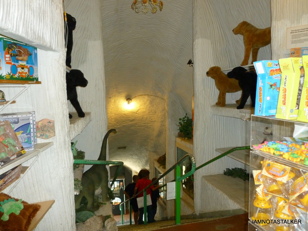 P1000818