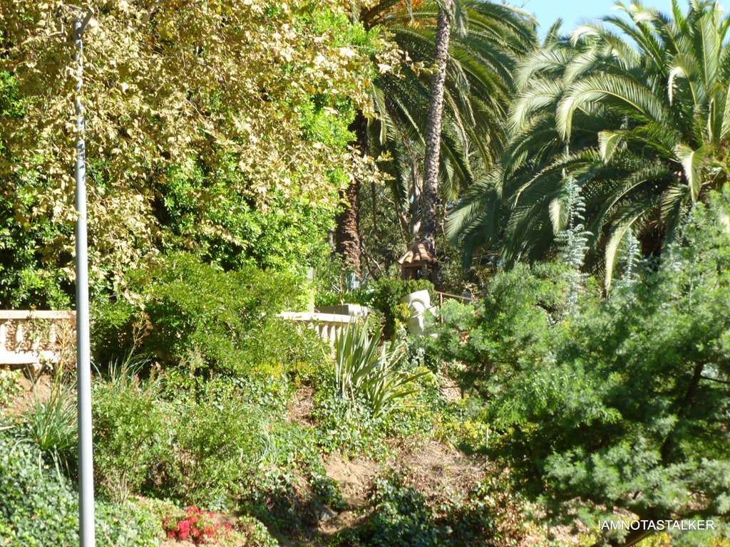 P1010258