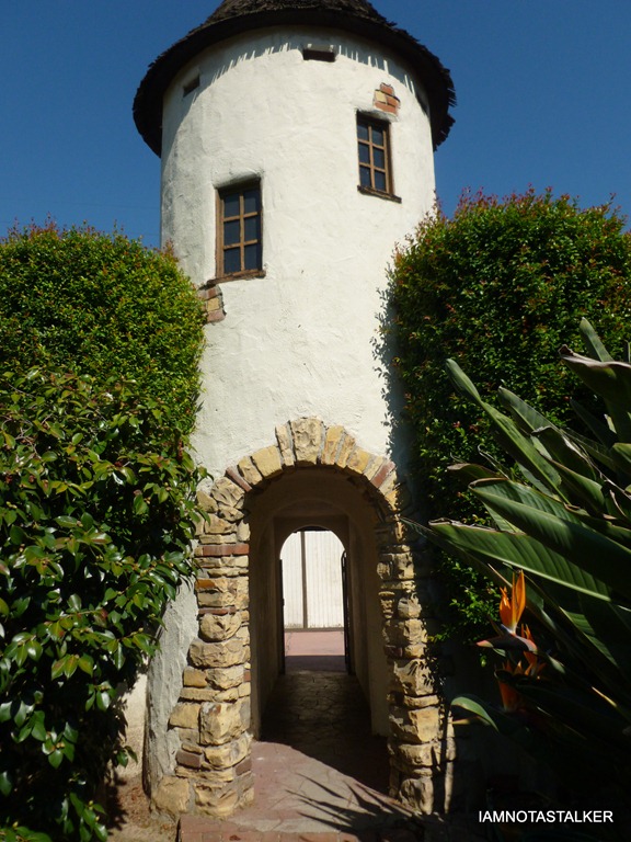 P1010628