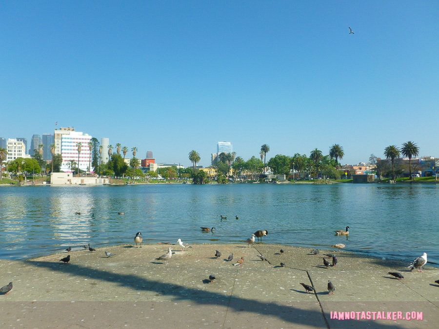 Levitt Pavillion MacArthur Park - filming-1040413