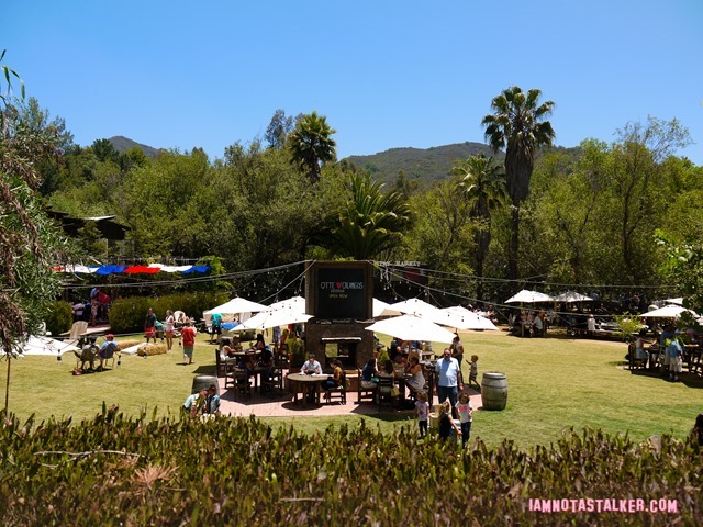 Malibu Cafe Calamigos Ranch 90210 (36 of 98)