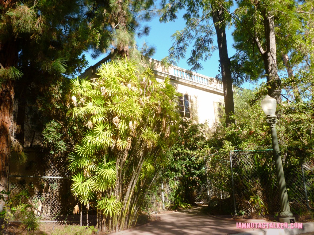 Johnny Weissmuller House (6 of 10)