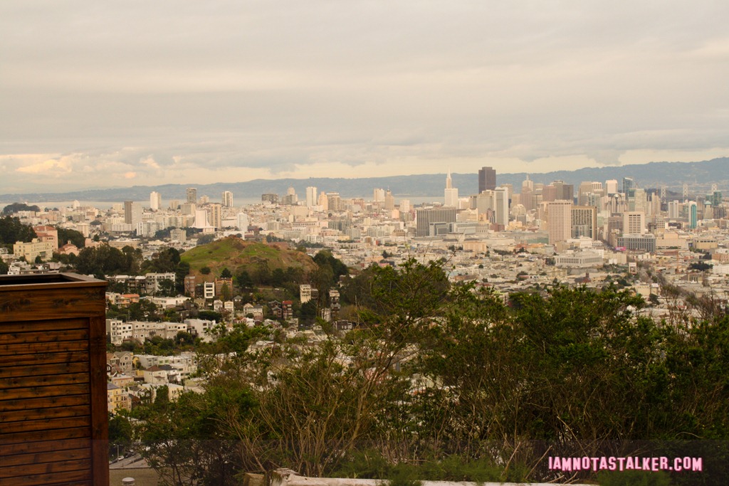 the Four Christmases house (5 of 11)