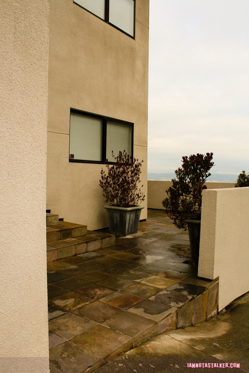the Four Christmases house (3 of 11)