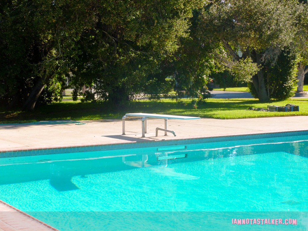 Christmas Vacation Pool (8 of 9)