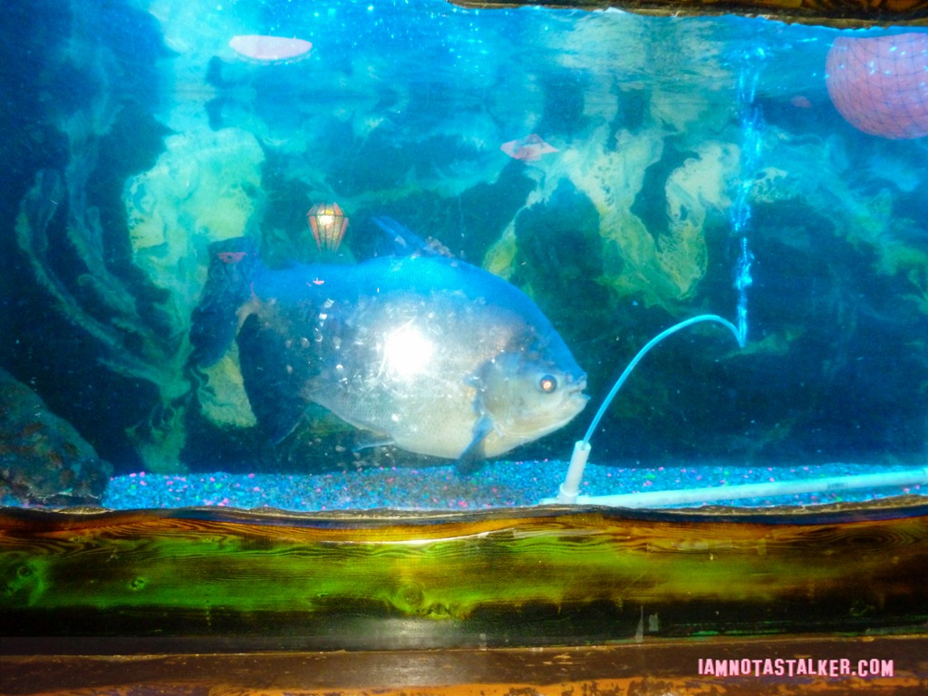 Bahooka Family Restaurant (27 of 30)