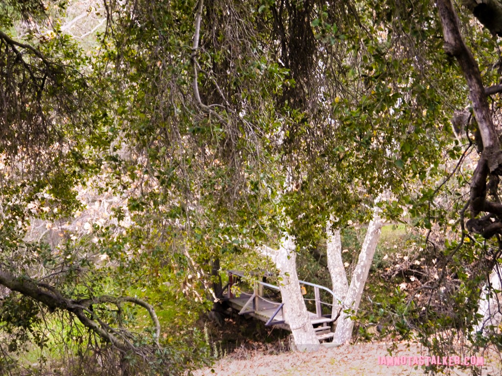 Kelly Gulch Friday the 13th (10 of 11)