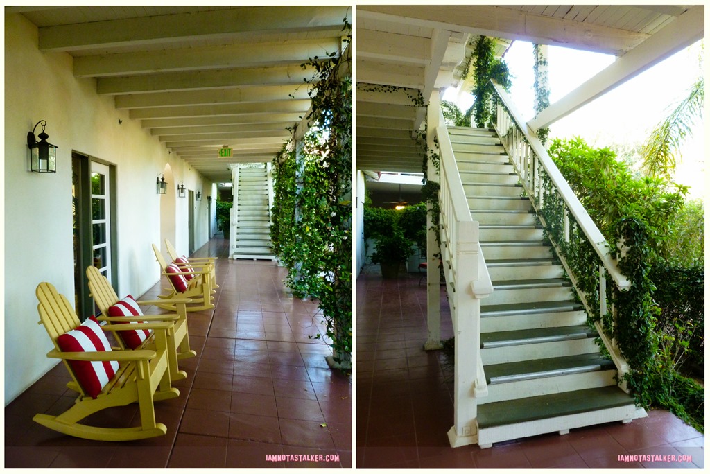 ColonyPalmscollage