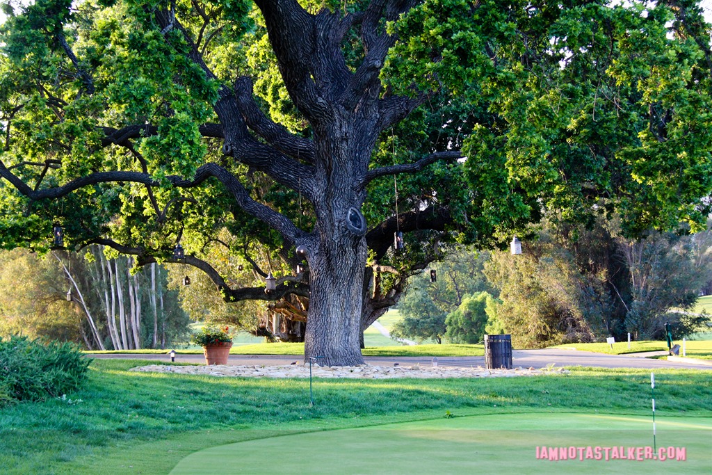 Ojai Valley Inn Bachelorette (3 of 33)