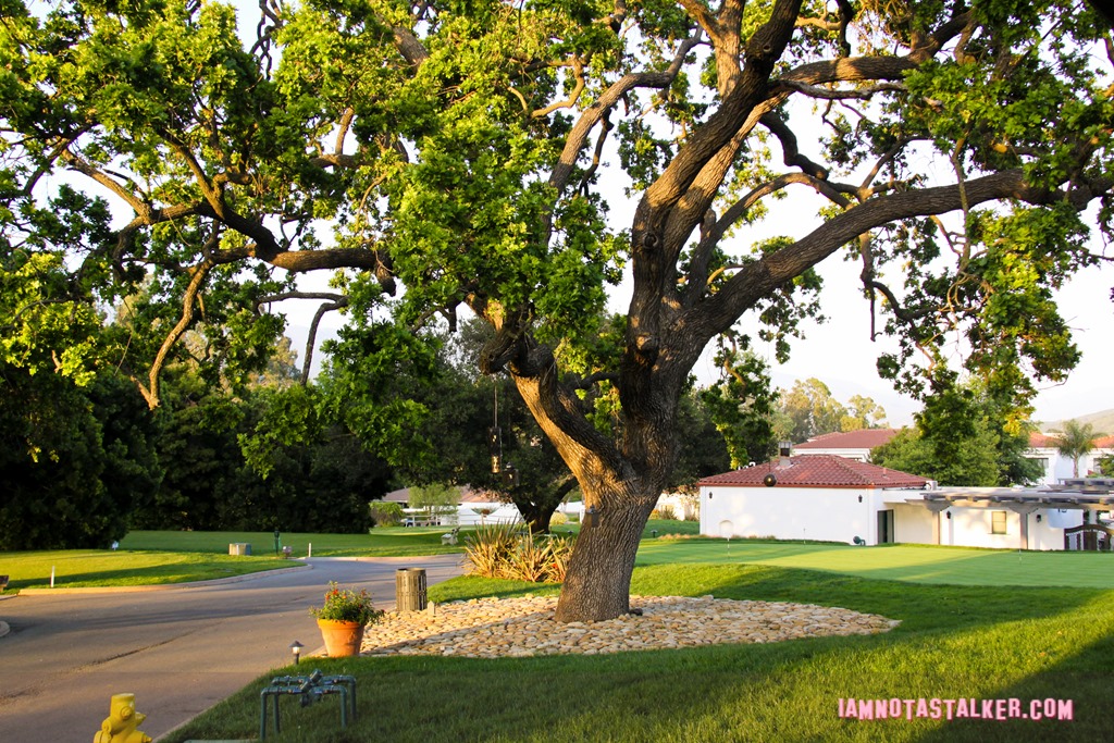 Ojai Valley Inn Bachelorette (8 of 33)