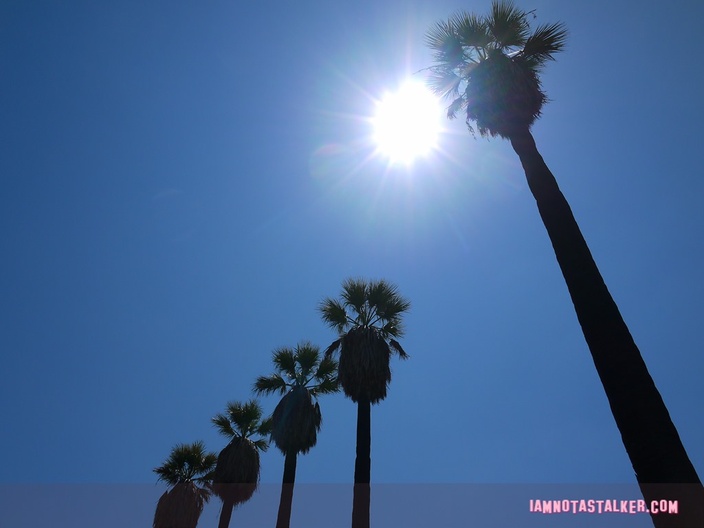 Echo Park (51 of 56)