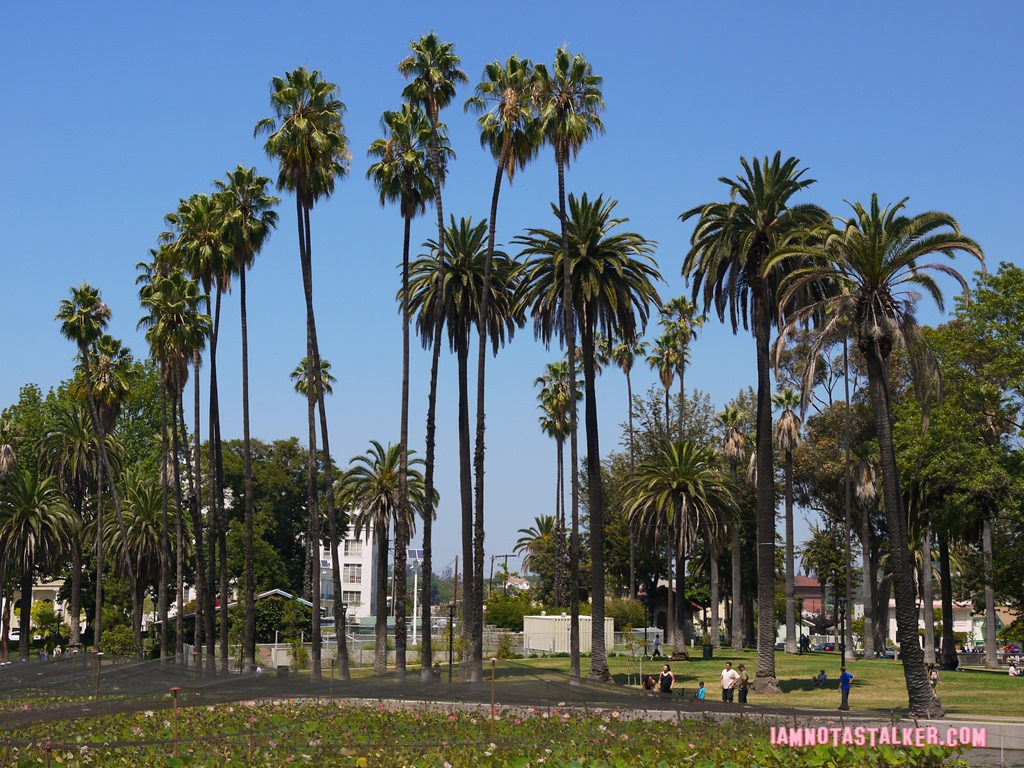 Echo Park (13 of 56)