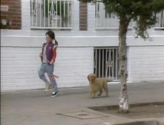 ScreenShot102
