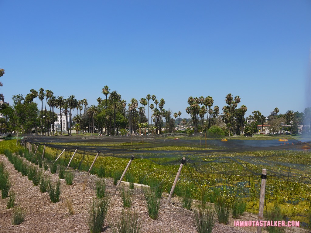 Echo Park (5 of 56)