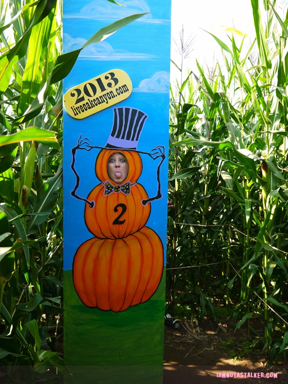 Live Oak Canyon Pumpkin Patch (19 of 38)