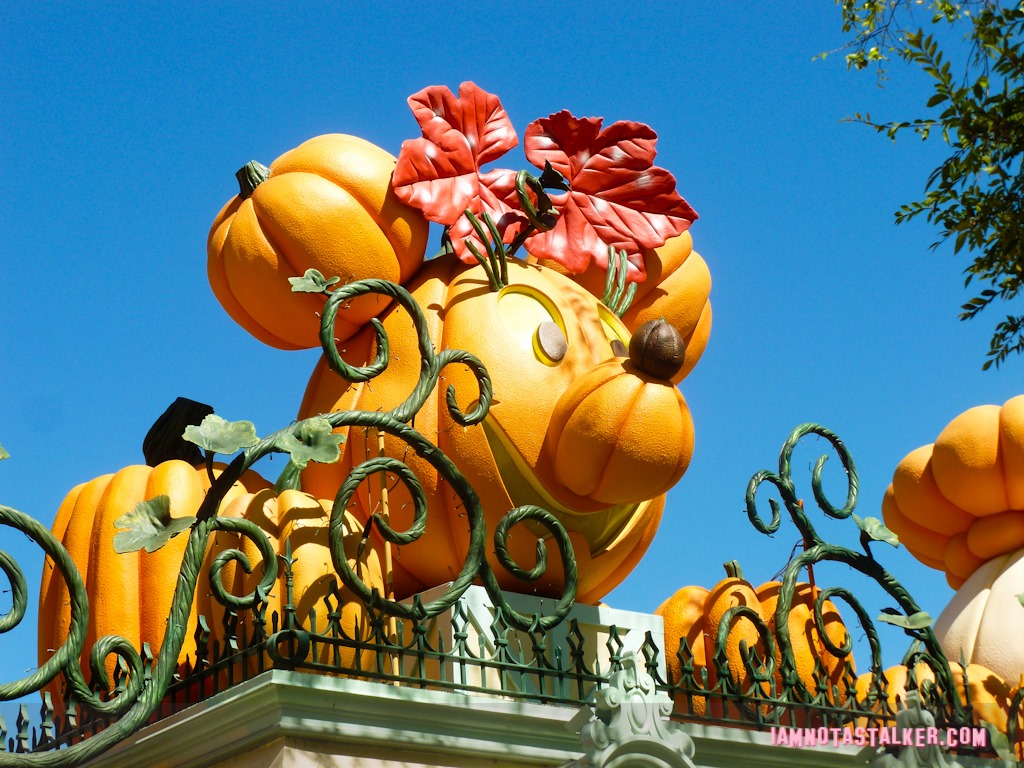Disneyland Halloween (5 of 17)