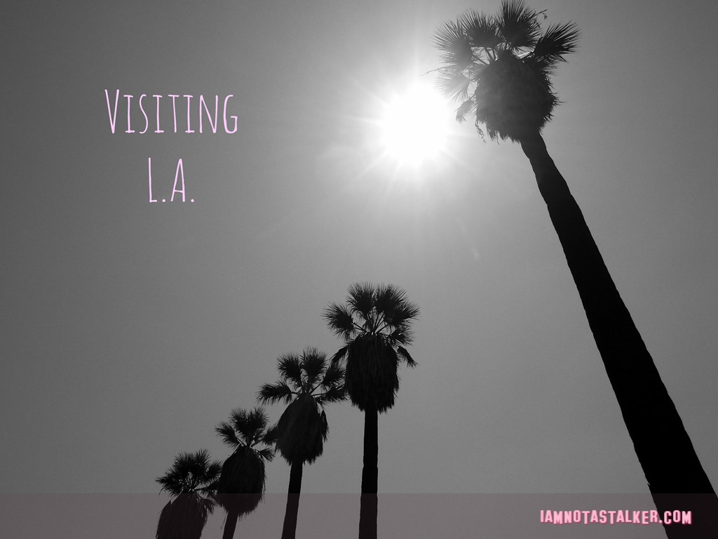 L.A. Palm Trees (1 of 1)