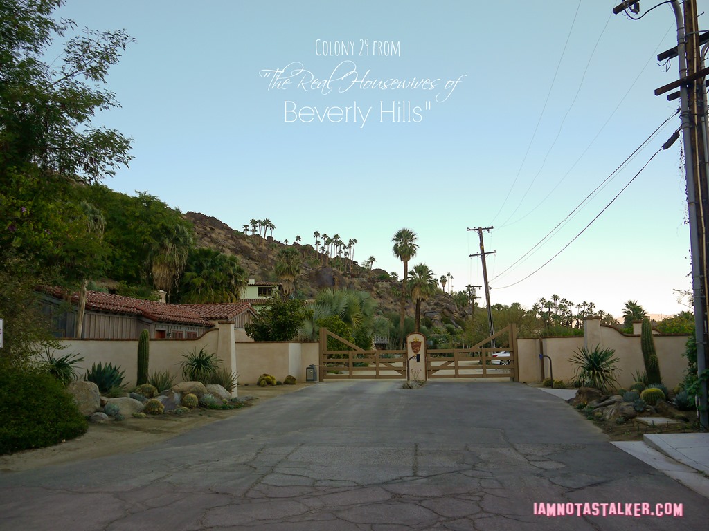 Colony 29 Real Housewives (21 of 22)
