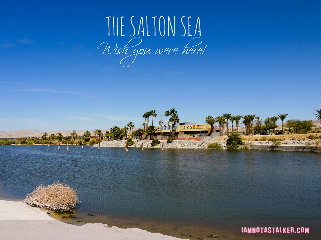 The Salton Sea 3 (15 of 30) (2)