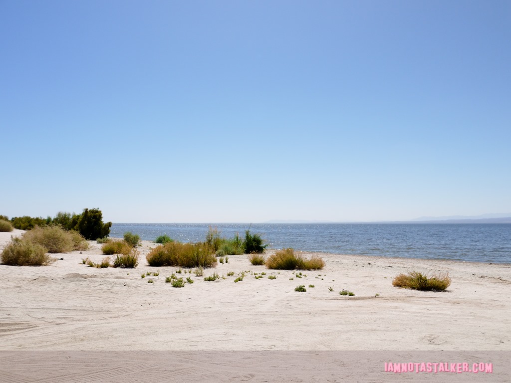The Salton Sea (18 of 30)