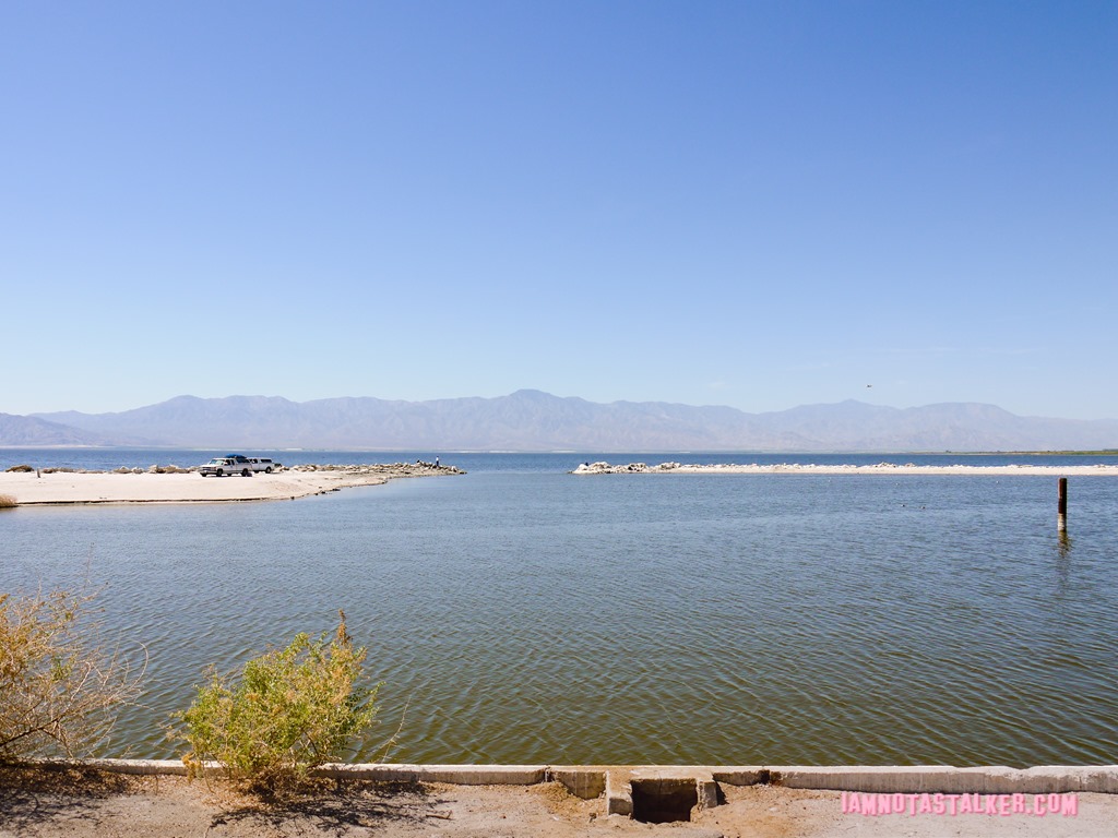 The Salton Sea (4 of 30)
