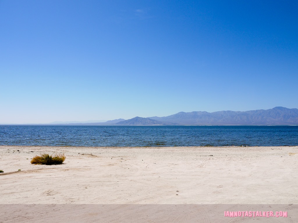 The Salton Sea (17 of 30)