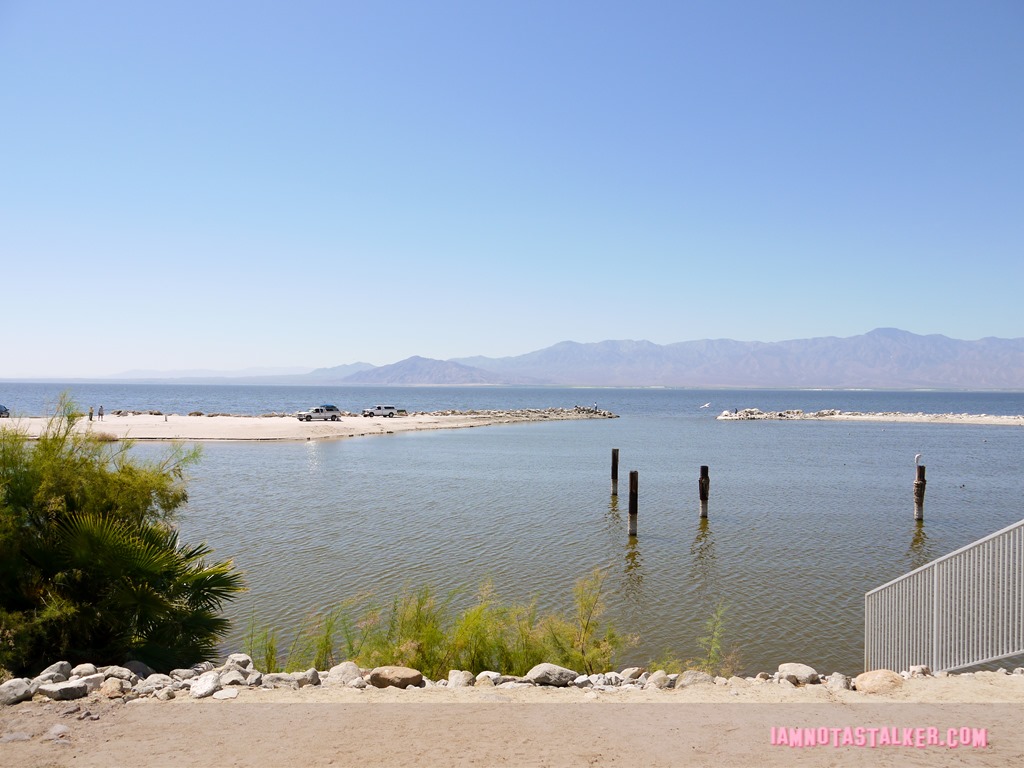 The Salton Sea (1 of 30)