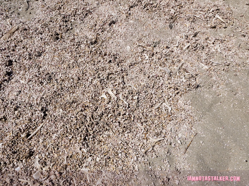 The Salton Sea (14 of 30)